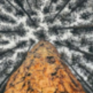 Profile photo of Mara Haring