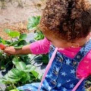 Profile photo of Natalie Jackson